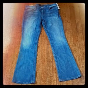 Joe's Jeans NWT The Provocateur sz 29 Petite